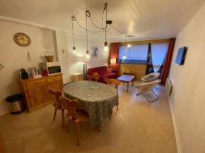 Studio spacieux au cœur de Châtel, proche télécabine Super-Châtel, tout confort - FR-1-693-102